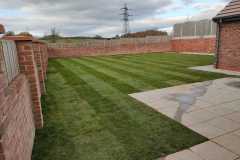 Lawn